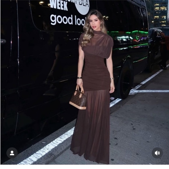 Zara Chocolate Brown Maxi Dress - Picture 4 of 8